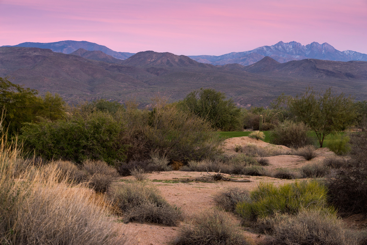 Rio Verde AZ New Homes for Sale Toll Brothers at Verde River