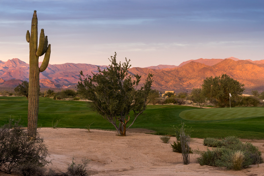 Rio Verde AZ New Homes for Sale Toll Brothers at Verde River