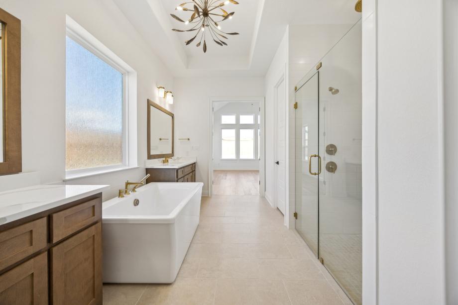Luxurious primary bathroom with oversized shower and soaking tub