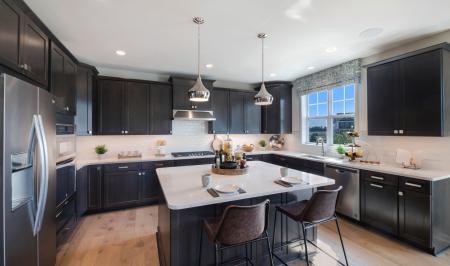 Trailwoods of Ann Arbor - The Parkside Collection