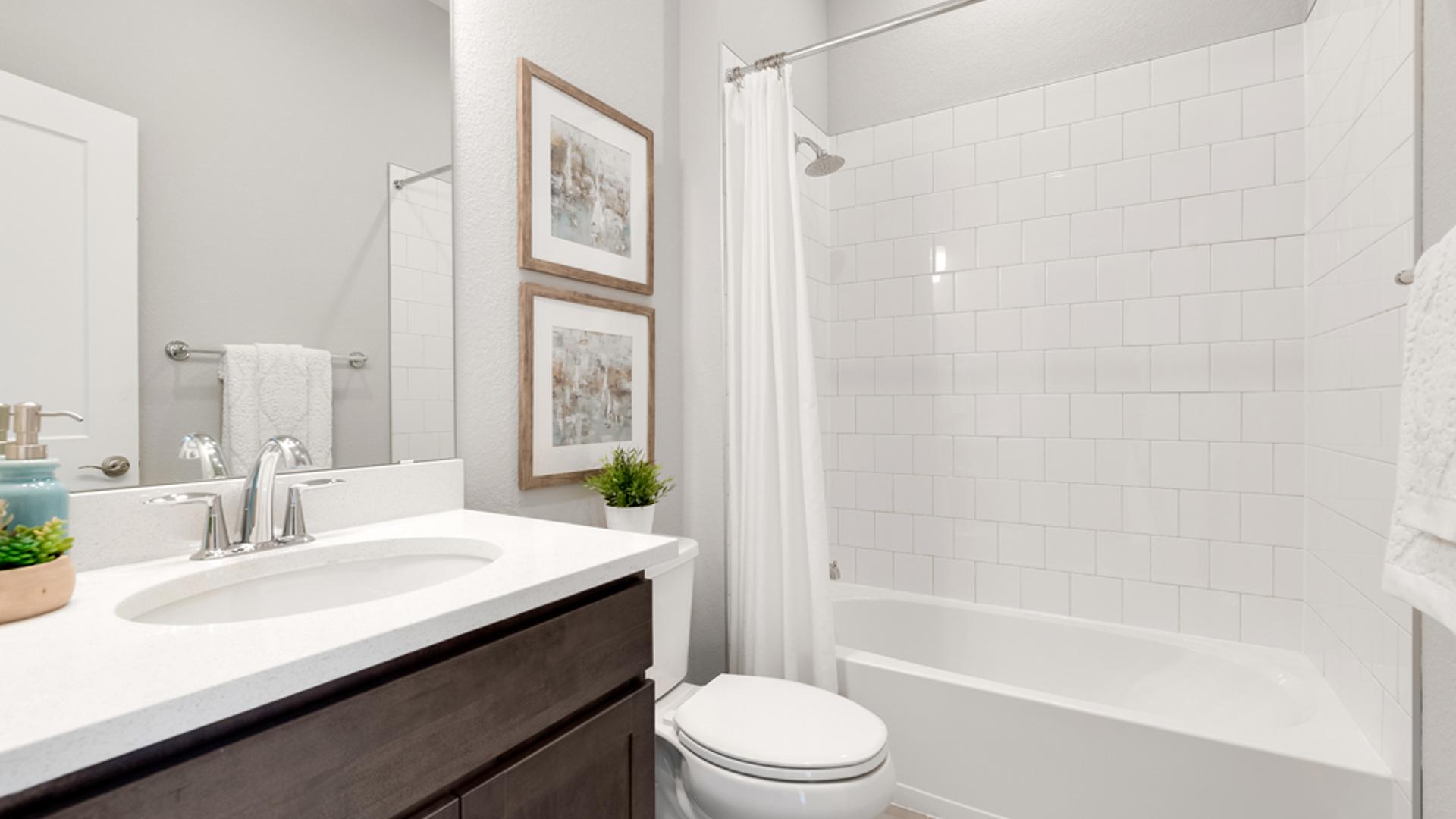 New Luxury Homes for Sale in Timnath, CO Toll Brothers at Trailside