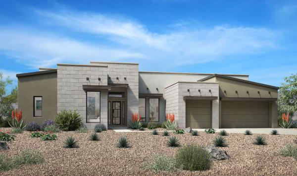 Desert Contemporary