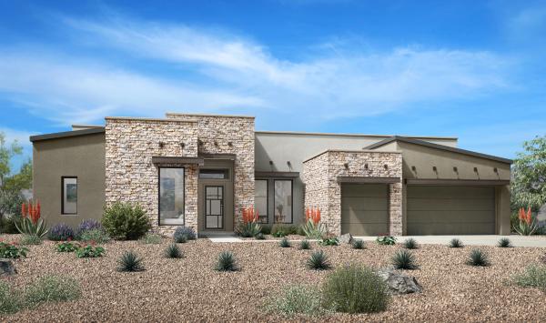 Desert Contemporary