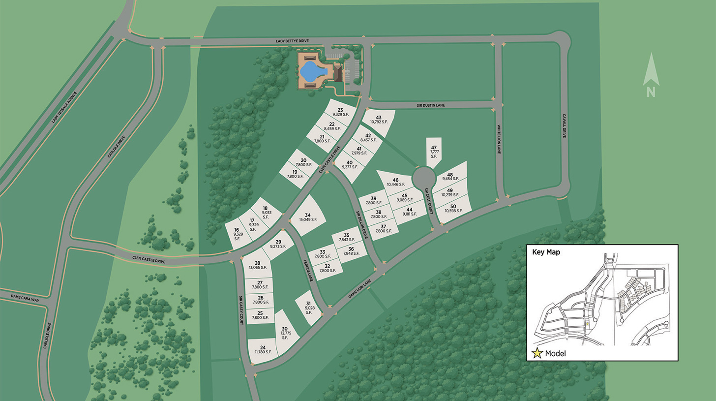 Castle Hills The Mistry Home Design