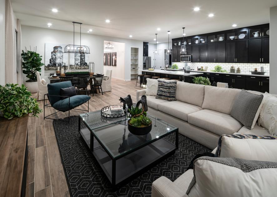 Toll Brothers - Toll Brothers at Cadence - Mosaic Collection Photo