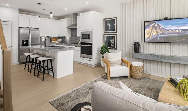 Open concept living level