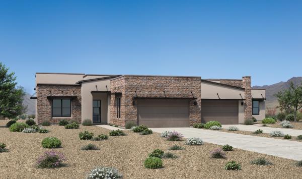 Desert Modern