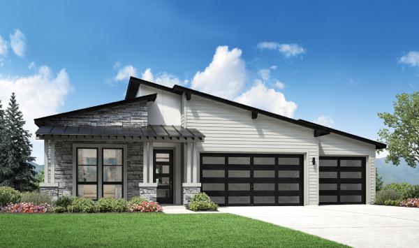 Mountain Modern