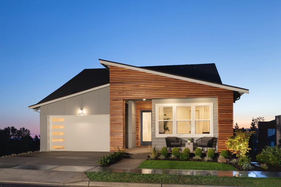 Orchid Modern