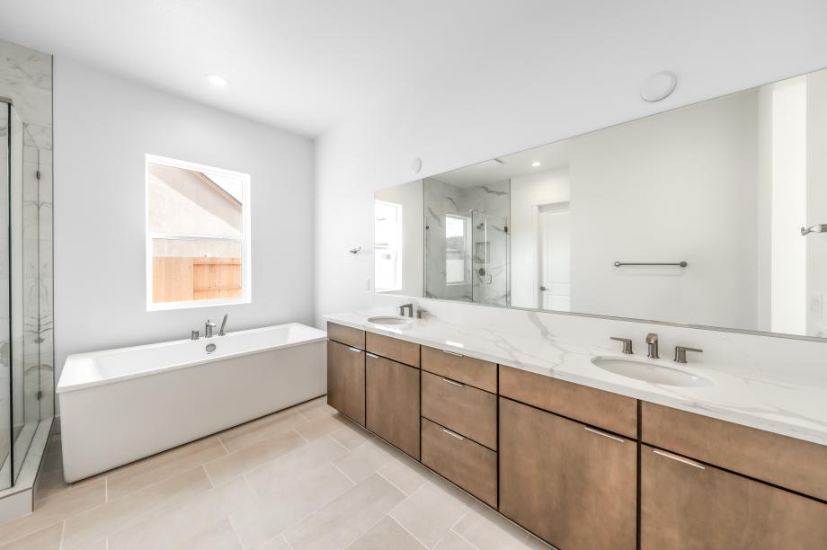 Spa-like primary bathroom with a large walk-in shower and dual-sink vanity