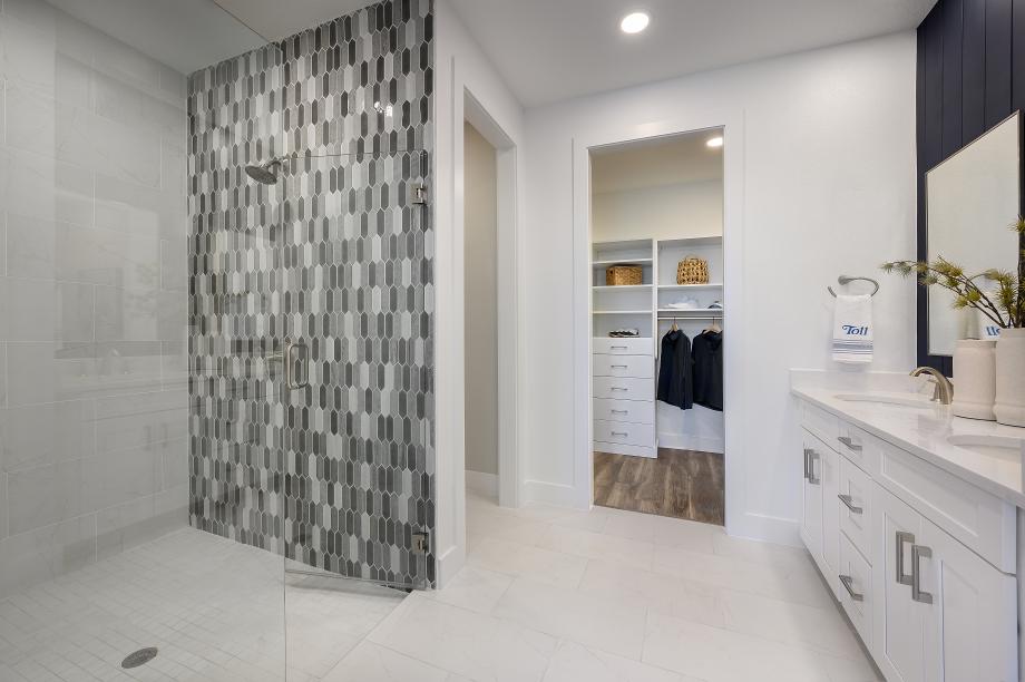 Luxurious primary bathroom