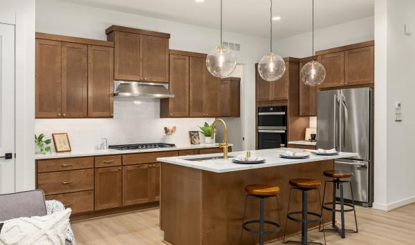 Ellipse Craftsman kitchen