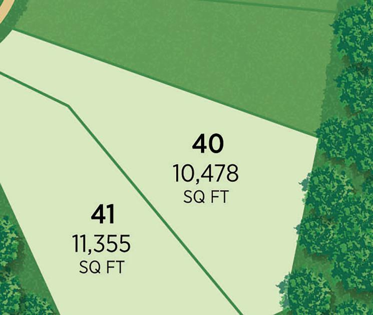 We need a title here