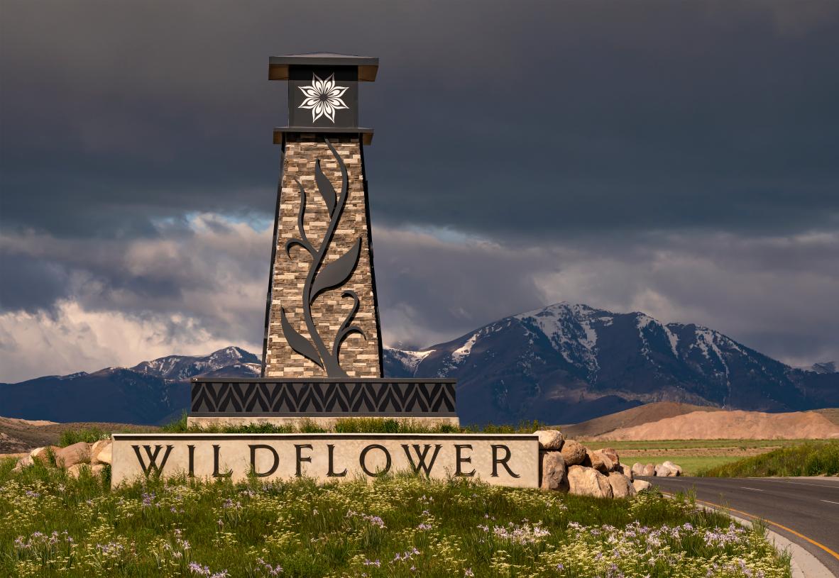 Wildflower community views