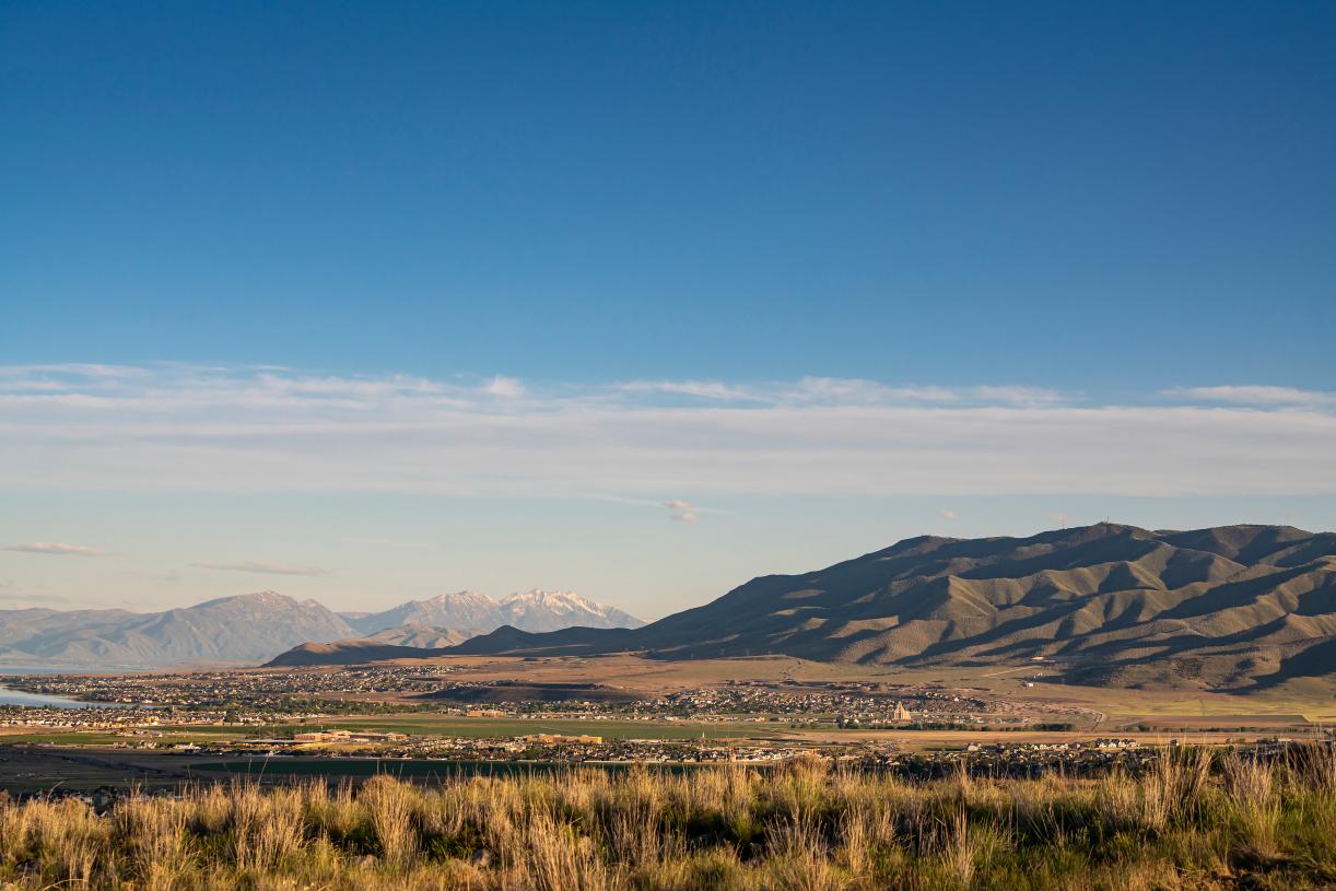 Wildflower community views