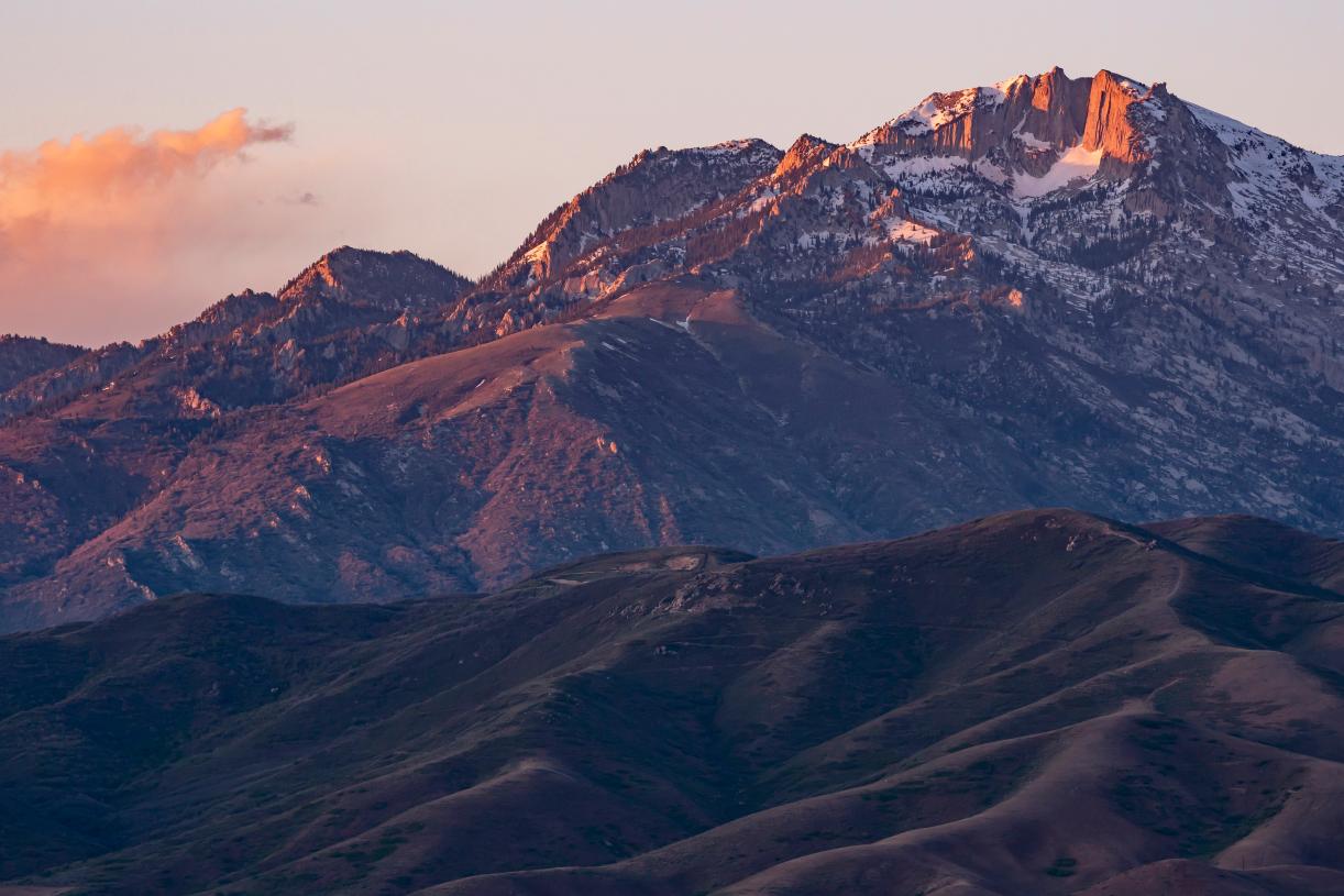 Wildflower community views