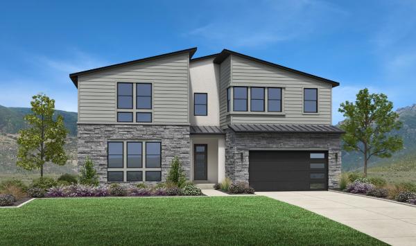 Mountain Modern