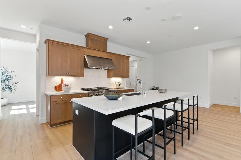 Gourmet kitchen