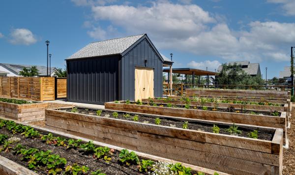 Community garden
