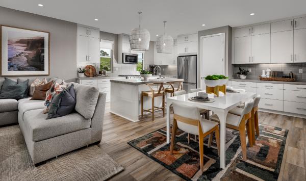 Modern home designs