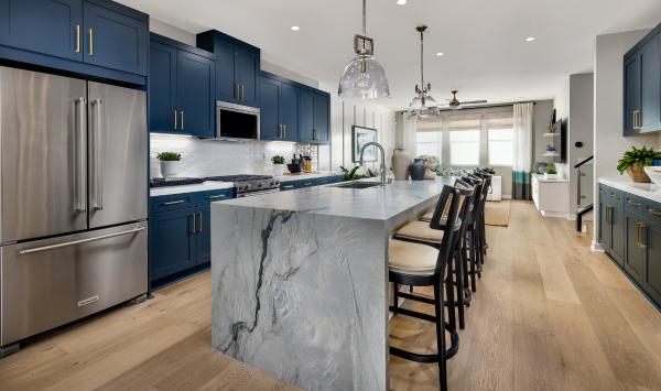 Modern home designs