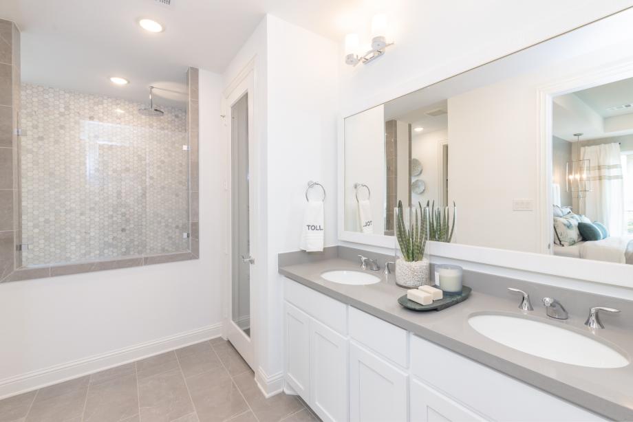 Spa-like primary bath
