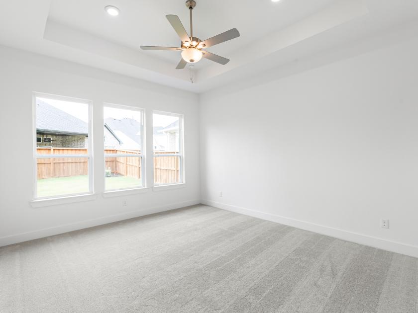 Spacious primary bedroom with plush carpet, tray ceilings, and tranquil backyard views