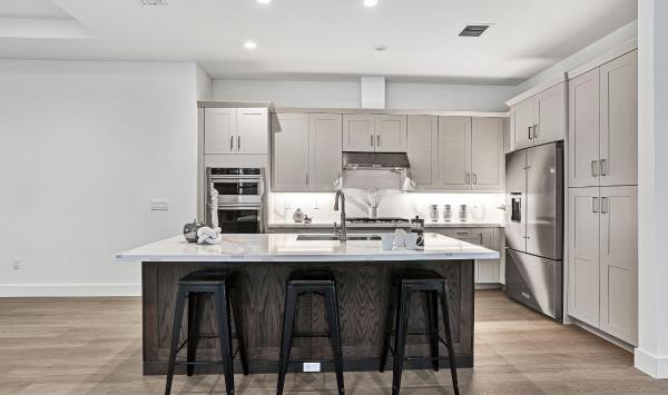 Gourmet kitchen with sleek cabinetry, premium appliances, and a spacious island