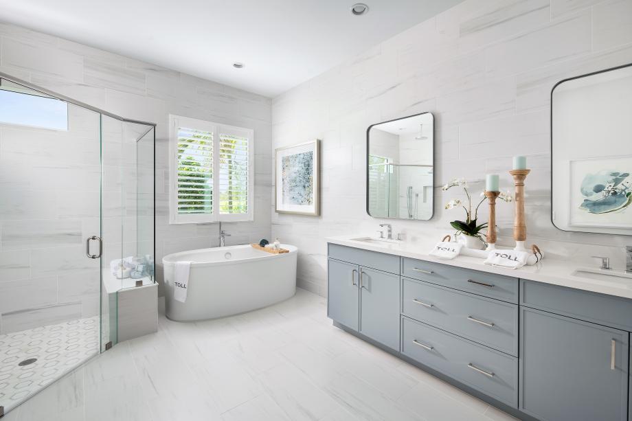 Luxurious primary bathroom