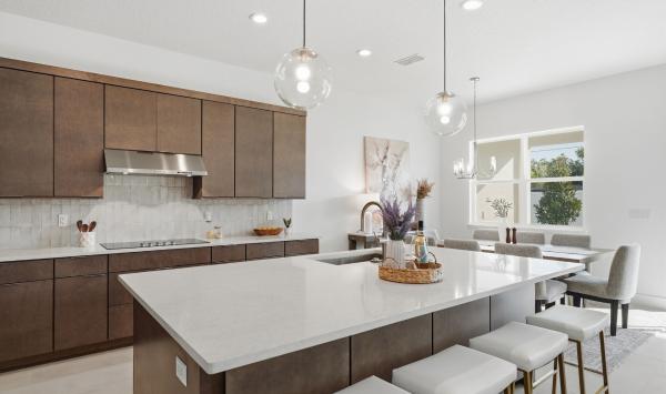 Well-appointed kitchen with generous counter space and storage blends style and functionality