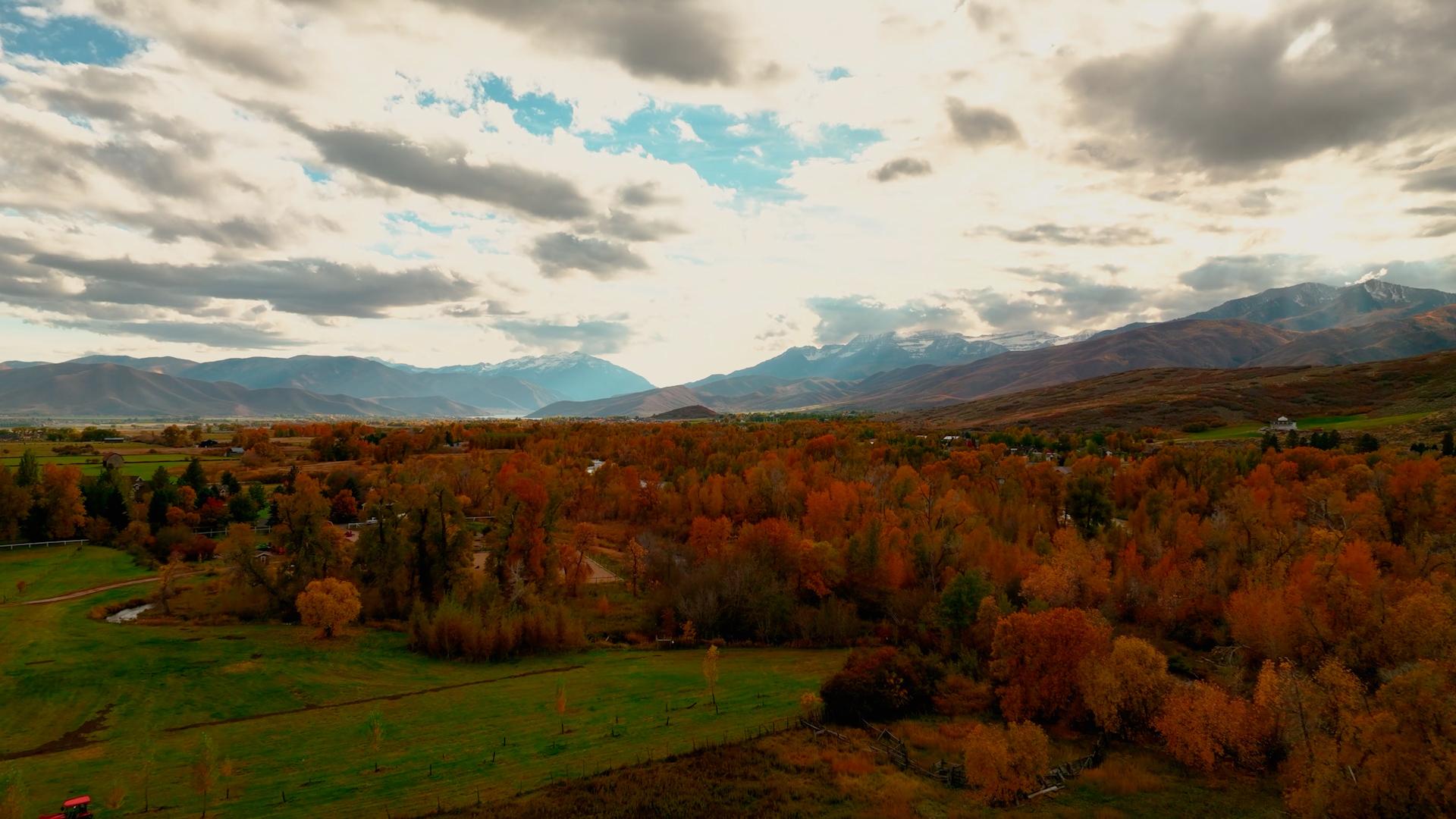 We need a title here