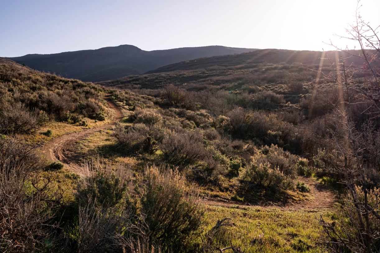 Hiking and biking trails