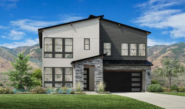 Mountain Modern