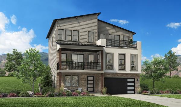 Mountain Modern