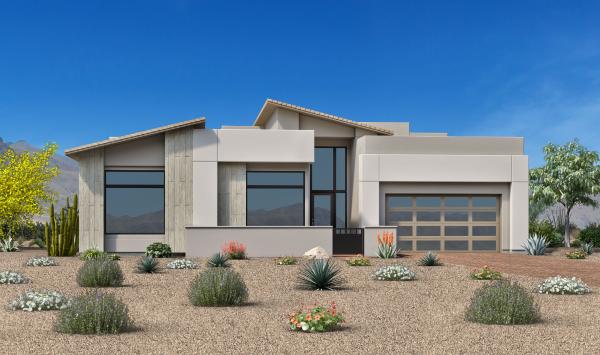 Desert Contemporary