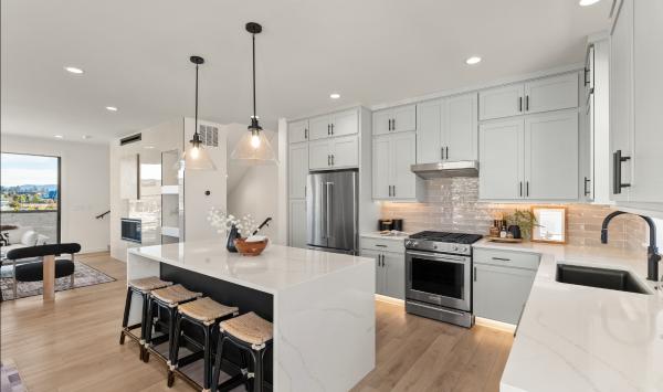 Carlin Elite 47 kitchen