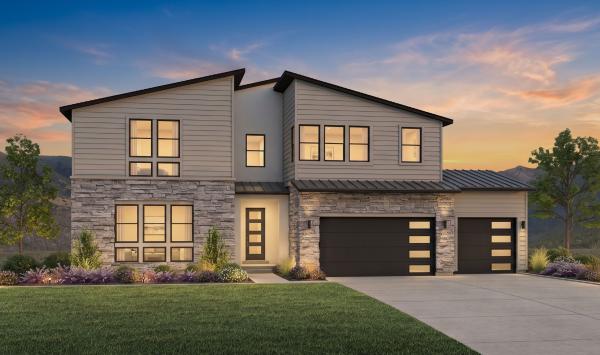 Mountain Modern