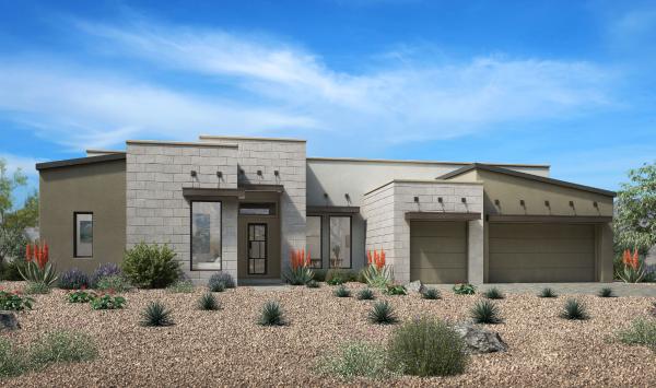 Desert Contemporary