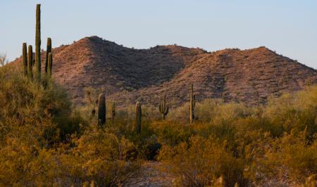 Toll Brothers at Ladera Trails