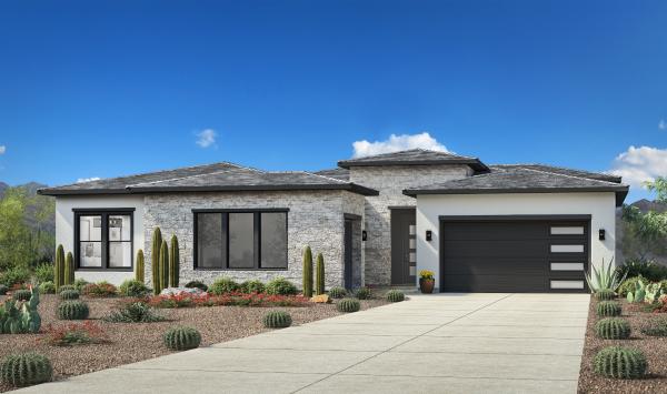 Desert Contemporary