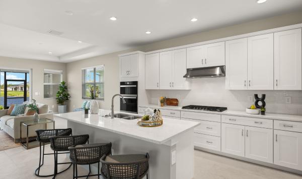 Gourmet kitchen with large center island