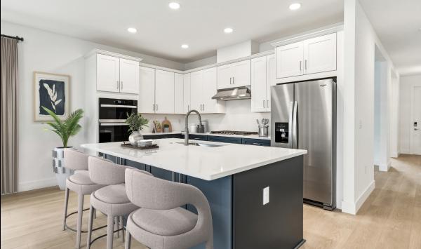 Gourmet kitchen with large center island