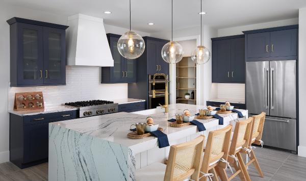 Gourmet kitchen with large center island