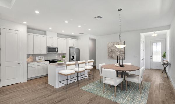 Gourmet kitchen with ample counter and cabinet space