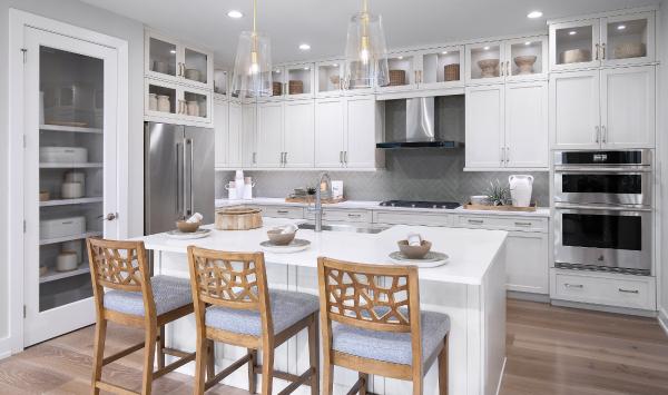 Gourmet kitchen with ample counter and cabinet space