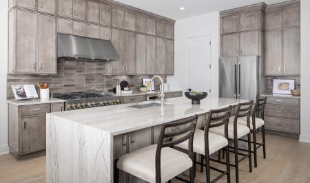 Toll Brothers at Cherry Creek Trail