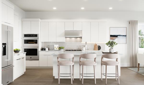 Gourmet kitchen with large center island