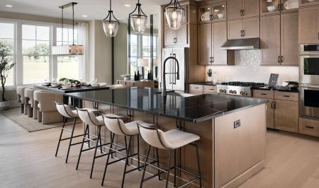 Toll Brothers at Lakeview