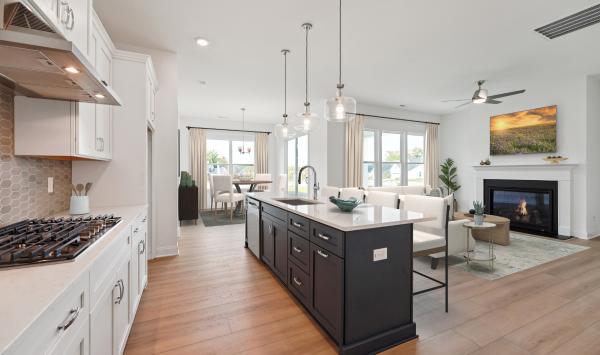Regency at Olde Towne Quick Move-in 51