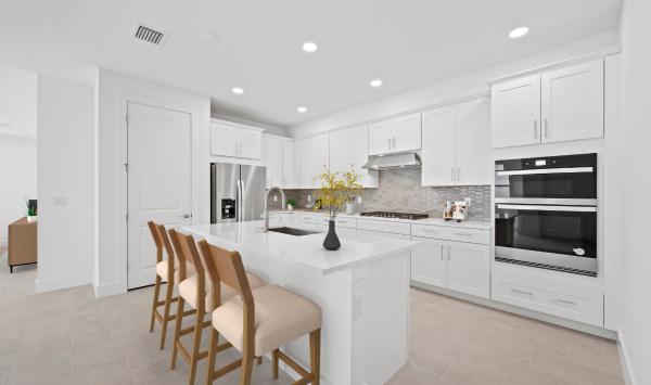 Gourmet kitchen with ample counter and cabinet space